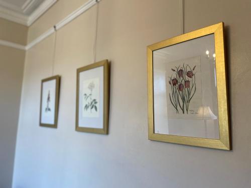 Southcliffe B&B - image 13