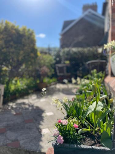Southcliffe B&B - image 7