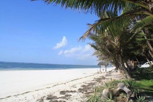 Diani Marine Divers Village - image 3