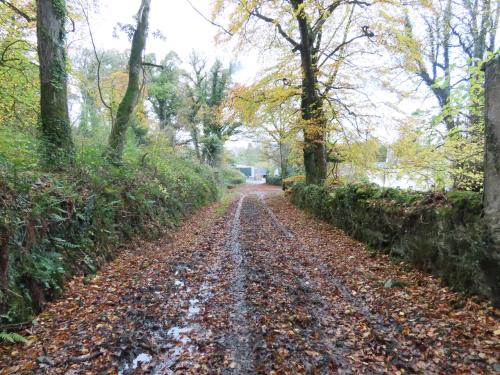 Garden, Noan Country House B&B in Cashel