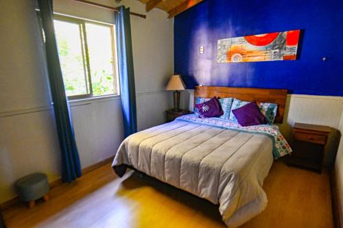Gecko Hostel – Pucon, MI