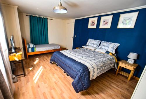 Gecko Hostel in Pucon