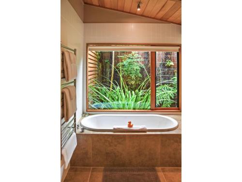 浴室, 河樺樹旅館 (River Birches) in 圖朗伊