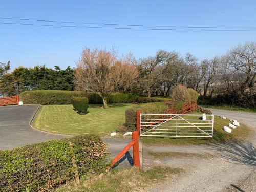 Blaenywawr Lampeter - image 5