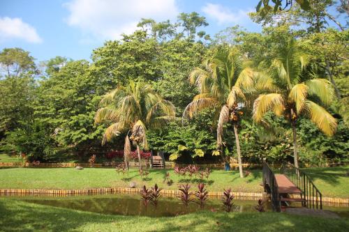 Jardin, Villa Amanda Resort in San Juan La Laguna