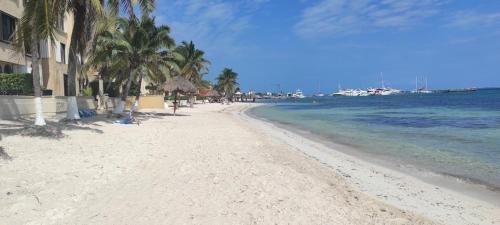 A la Orilla del mar Puerto Juarez Cancun, Канкун (фото 5)