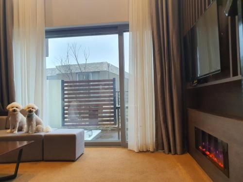 Villa Suite with Two Double Beds - Pet-Friendly/Non-Smoking