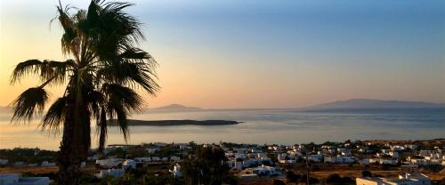  VILLA ROSSI Paros Luxury Apartments and Suites in Drios