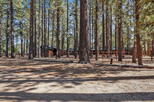 Jus' Restin-265 by Big Bear Vacations - image 12