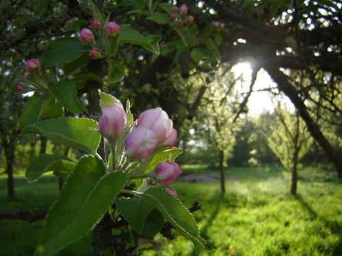 Jagdschloss Quitzin Jagdschloss Quitzin