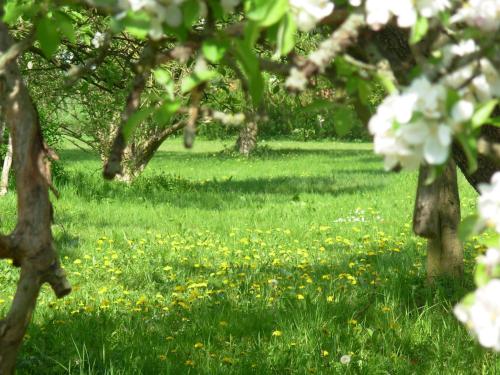 Jagdschloss Quitzin Jagdschloss Quitzin