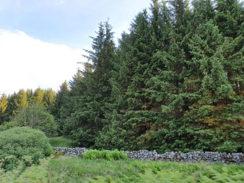 RoSE COTTAGE THREE BEDROOM HOUSE WITH PARKING Summer Special in Carsphairn