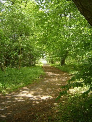 Jagdschloss Quitzin Jagdschloss Quitzin
