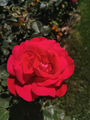 Casa Elisa Dimora Urbana