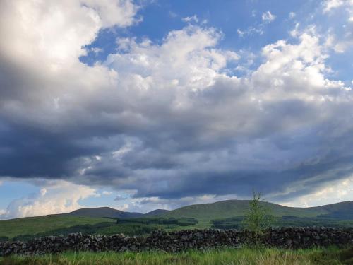 Lavender Cottage with Parking and Beautiful Views Christmas Special in Carsphairn