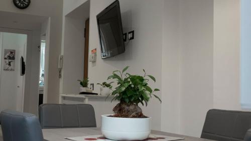 Flavia's House Roma, Rome (photo 7)
