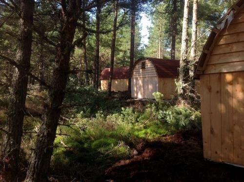 Camping Pod Heaven - image 4