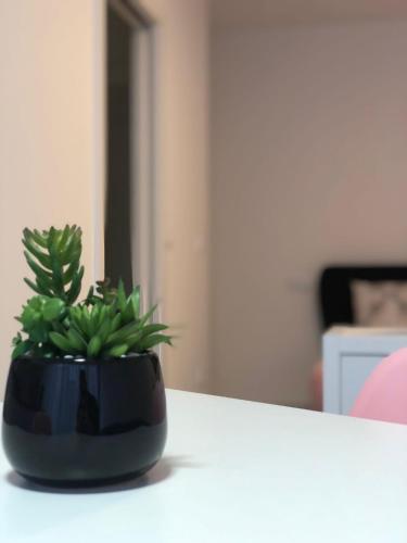 Casa Milordes gîte à louer Ramalhão