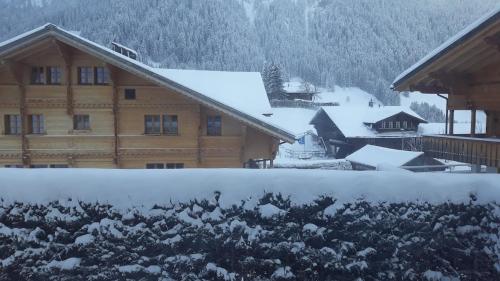 Snow+Surf B&B in Lauenen Bei Gstaad