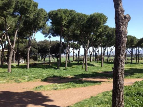 Casa Vacanze Nonna Elena, Roma (foto 6)