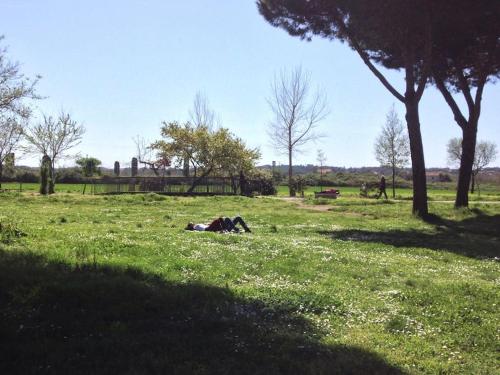Casa Vacanze Nonna Elena, Roma (foto 4)