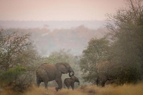 Tanda Tula Safari Camp