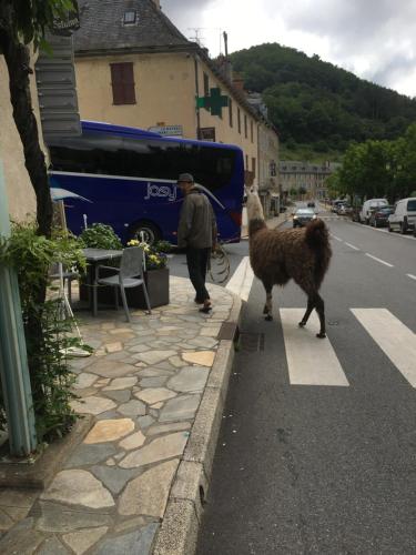Aux Armes D Estaing - image 2