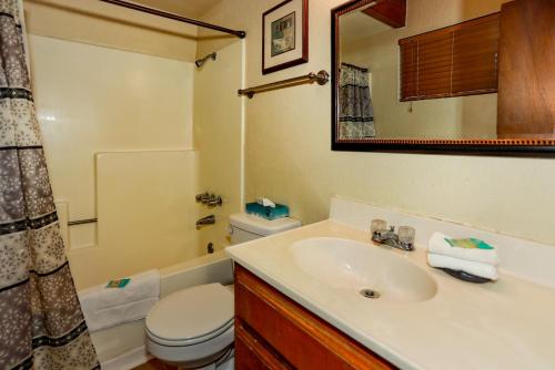 Birdie Cabin-1328 by Big Bear Vacations - image 6