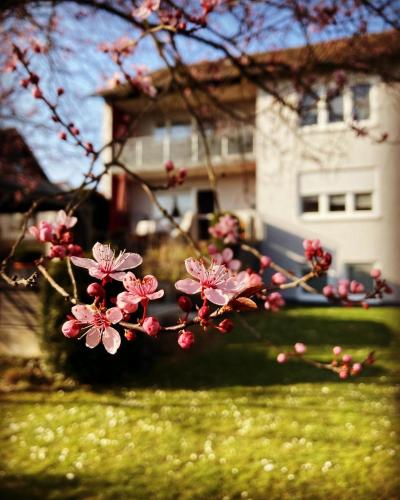 Ferienwohnung im Aalbachtal - Uettingen bei Würzburg