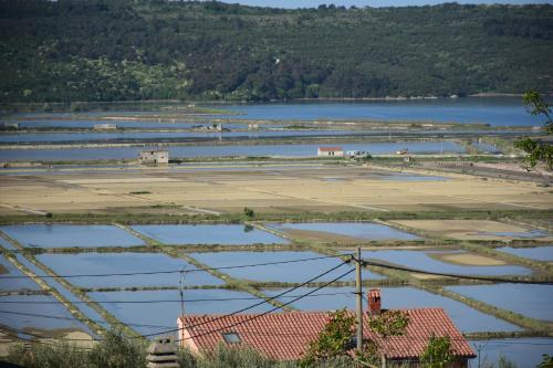 Apartment Burja with Olive Grove & Salt Pans View