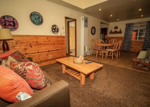 Life of Riley-1608 by Big Bear Vacations - image 2