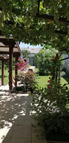 Ferienwohnung Maks und Kris in St. Andrä am Zicksee, Österreich