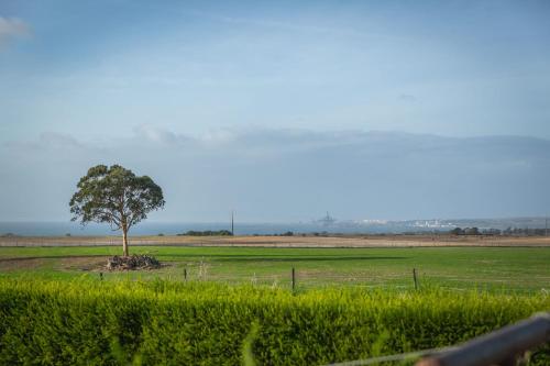 Monte Varginhas Porto covo - Suite B gîte à louer Incenso