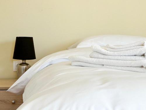 Chiou Spacious 90sqm apt in Athens