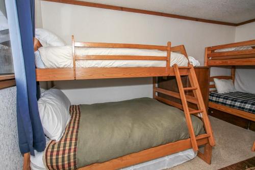 Ruff Inn It-1752 by Big Bear Vacations - image 12