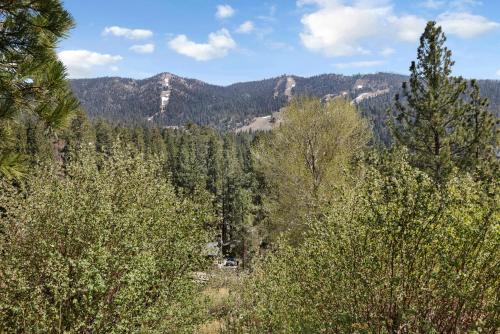 Scenic Retreat-1772 by Big Bear Vacations - image 13