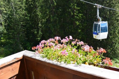 Hotel Bertelli - image 13