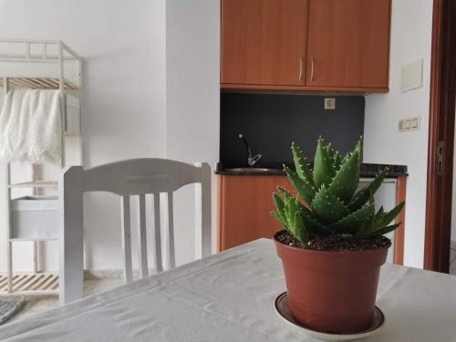  Mini apartamento Rocío in Camariñas