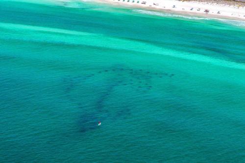Surfside Resort 1409 by RealJoy Vacations - image 30