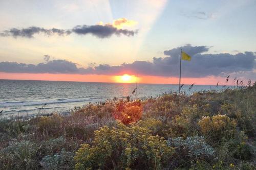 Surfer Girl by RealJoy Vacations - image 2