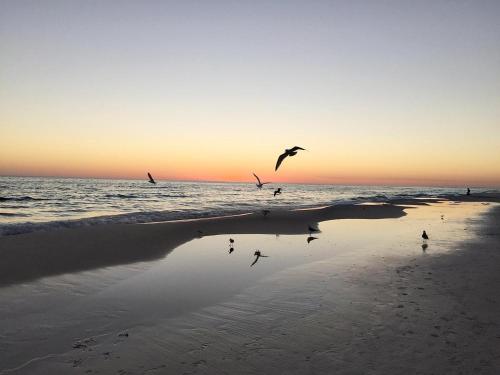 Beachful Bliss by RealJoy Vacations - image 21