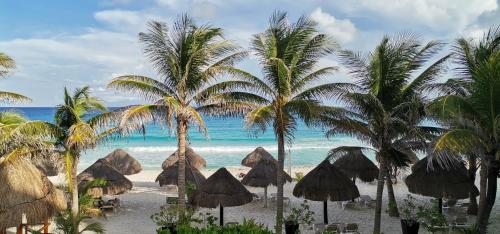 フラミンゴ カンクン リゾート