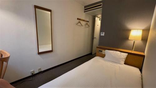 Single Room room in Ueno Terminal Hotel