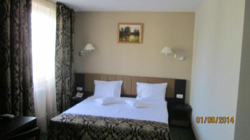 Hotel Bistrita - image 4