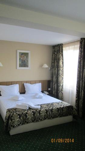 Hotel Bistrita - image 8