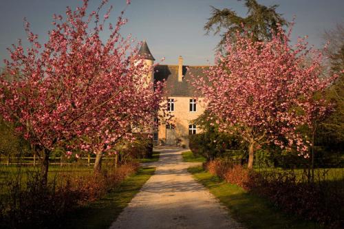 Chateau de Monfreville - Location saisonnière - Monfréville