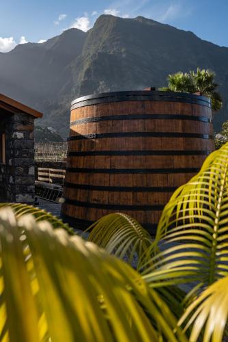 Quinta Vale Vitis, São Vicente (fotografie 7)