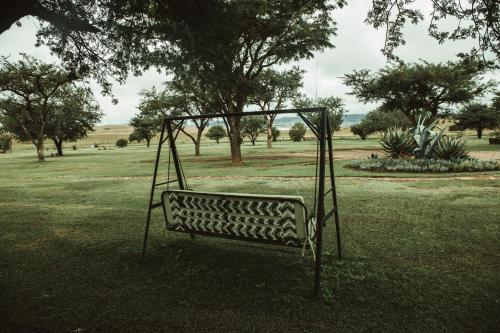 Amphitheatre Backpackers Lodge