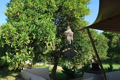 Campo Portakal Eco Glamping - image 12