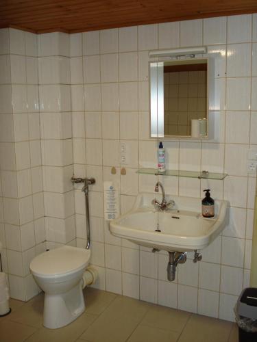 Appartement 25 qm mit Bad an der Mosel - Nähe Koblenz (Appartement 25 qm mit Bad an der Mosel - Nahe Koblenz) in 迪布利希